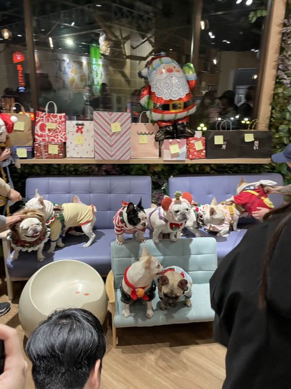 森林小徑健行店對寵物超友善